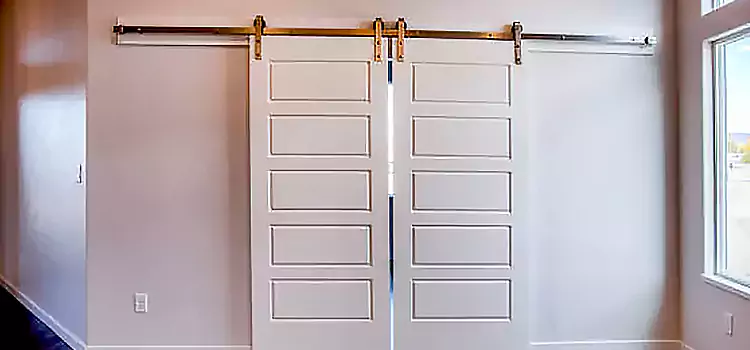 Glass Barn Door with Installation Hardware Kit Owings Mills